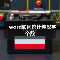 word如何统计纯汉字个数（图3）