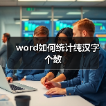 word如何统计纯汉字个数（图4）