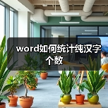 Word文档汉字统计方法及操作步骤解析