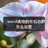 如何在Word中调整表格单元格边距设置