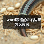 word表格的左右边距怎么设置(图2) word表格的左右边距怎么设置(图2)