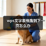 wps文字表格跑到下一页怎么办（图4）