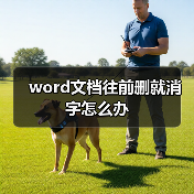 Word改写模式与插入模式切换方法详解