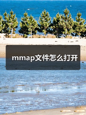 mmap文件怎么打开（图2）