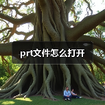 prt文件怎么打开（图3）