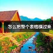 怎么把整个表格横过来（图4）