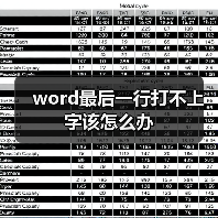 word最后一行打不上字该怎么办（图2）