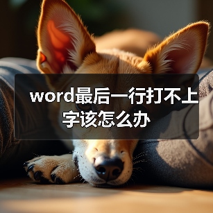 word最后一行打不上字该怎么办（图3）