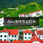 DjVu文件打开方法及阅读器使用指南