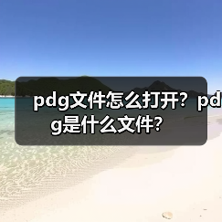 pdg文件怎么打开？pdg是什么文件？（图2）