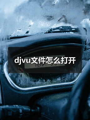 djvu文件怎么打开（图4）