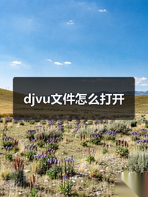 djvu文件怎么打开（图3）