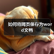 如何将网页保存为word文档（图3）