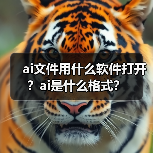 ai文件用什么软件打开？ai是什么格式？（图2）