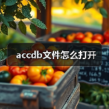 accdb文件怎么打开（图3）