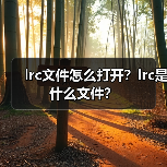 lrc文件怎么打开？lrc是什么文件？（图4）