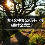 dps文件怎么打开？dps是什么意思？（图2）