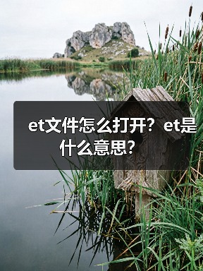 et文件怎么打开？et是什么意思？（图4）