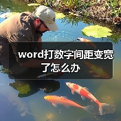 word打数字间距变宽了怎么办（图4）