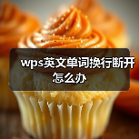 wps英文单词换行断开怎么办（图4）