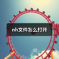NH文件打开方法及使用软件指南