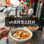 nh文件怎么打开（图3）