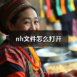 nh文件怎么打开（图2）