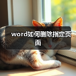 word如何删除指定页面(图3) word如何删除指定页面(图3)