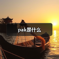 .pak文件是什么 及其在游戏中的应用和打开方法