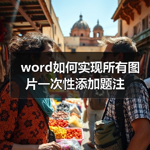 Word图片题注添加技巧 一步步教你设置编号