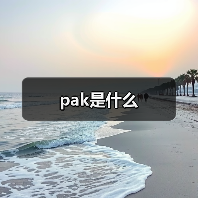 pak是什么（图3）