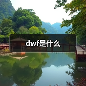 dwf是什么（图2）