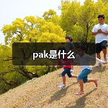 pak是什么（图4）