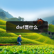 dwf是什么（图3）