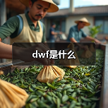 dwf是什么（图4）