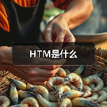 HTM是什么（图4）