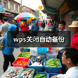 wps关闭自动备份（图2）