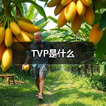 TVP是什么（图2）