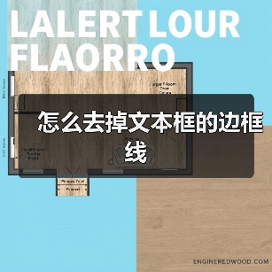 怎么去掉文本框的边框线（图4）