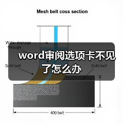 word审阅选项卡不见了怎么办（图2）