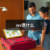 WV格式文件播放方法及注意事项