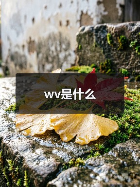 wv是什么（图4）