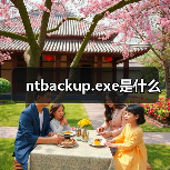 ntbackup.exe进程解析：Windows备份工具功能与安全性