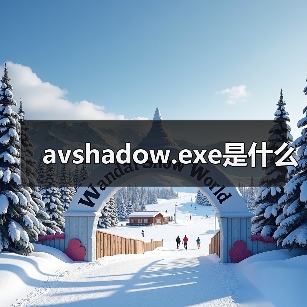 avshadow.exe是什么（图2）