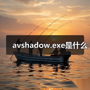 avshadow.exe是什么（图3）