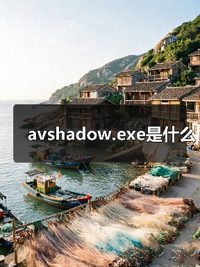 avshadow.exe是什么（图4）