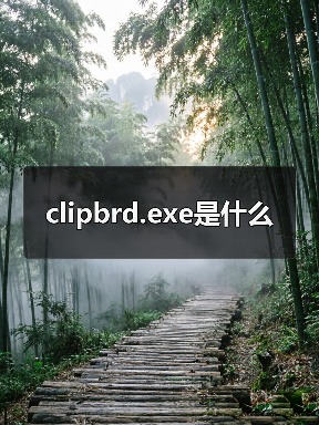 clipbrd.exe是什么
