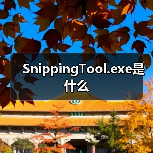 SnippingTool.exe 是 Windows Vista 系统进程