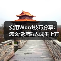 Word快速输入海量文字技巧：rand、lorem与VBA方法