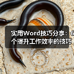 Word排版六大必备技巧 高效办公必备